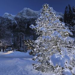 Lichtkonzepte Weihnachtsbeleuchtung Winterbeleuchtung MK-Illumination Tiroler-Zugspitzbahn Ehrwald Tirol