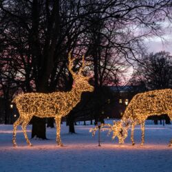 Lichtkonzepte Weihnachtsbeleuchtung Winterbeleuchtung MK-Illumination Västeras Schweden