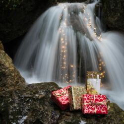 Lichtkonzepte Weihnachtsbeleuchtung Winterbeleuchtung MK-Illumination IP67   Tirol