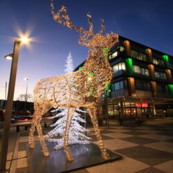 Lichtkonzepte Weihnachtsbeleuchtung Winterbeleuchtung MK-Illumination  DEZ ECE Innsbruck Tirol