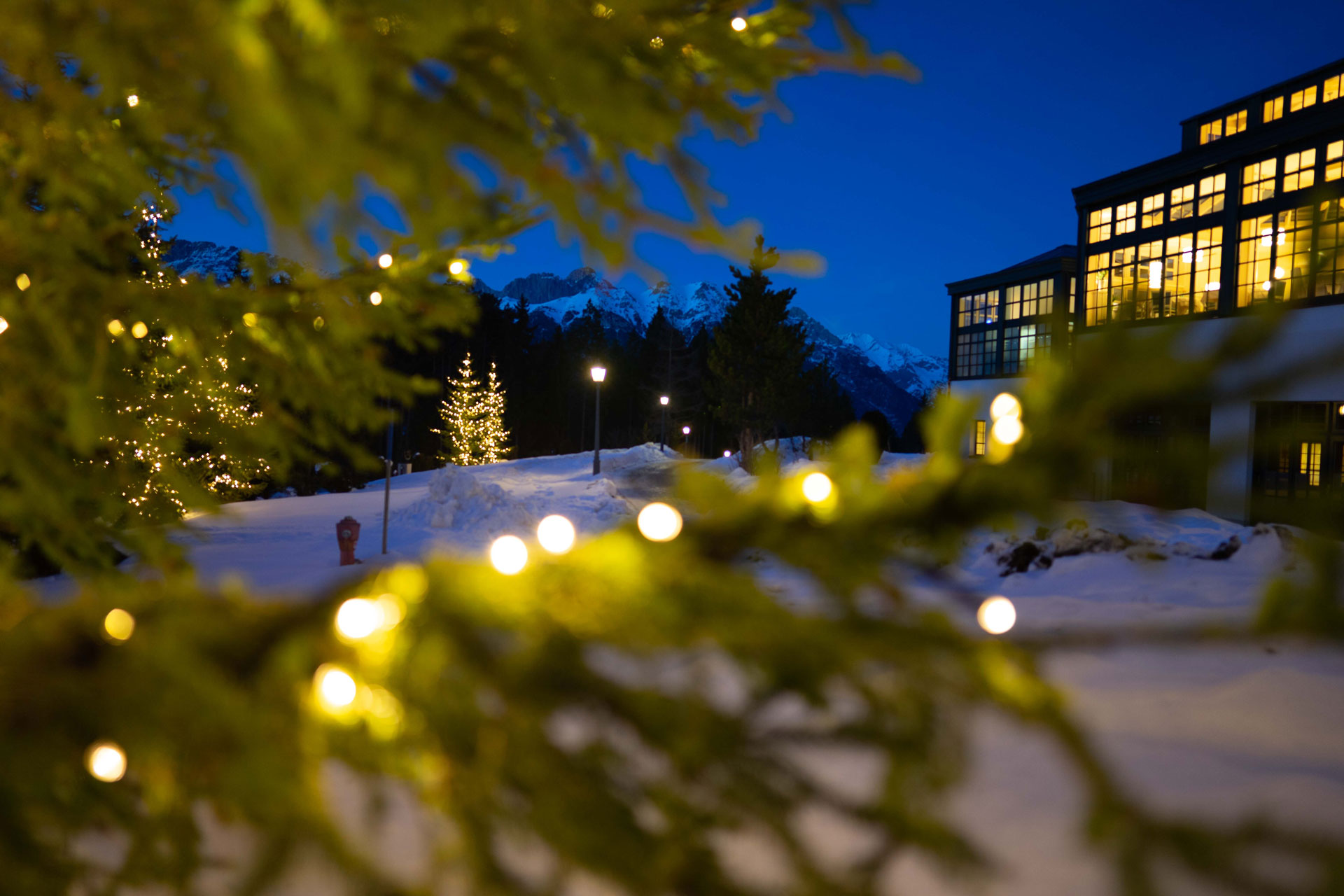 Lichtkonzepte Weihnachtsbeleuchtung Winterbeleuchtung Hotel Interalpen Seefeld Tirol